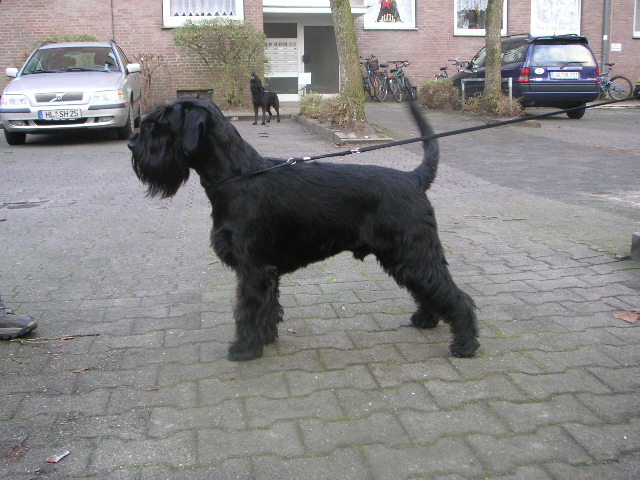 Bild 361.jpg